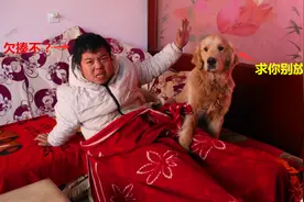 小虎抱着金毛睡觉，谁知小虎一直打喷嚏发屁，可把金毛给坑坏了视频封面