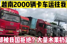 越南2000辆卡车开往中国，却被堵口岸，只能大量倒在路边腐烂？视频封面