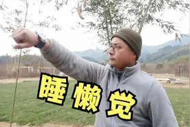 养宠物不必担心起早，狗也可以培养它睡懒觉