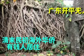 被遗弃的广东开平无人村：房上长满大树，有钱华侨为何集体搬离？视频封面