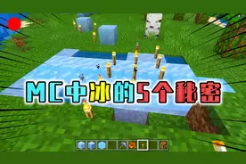 MC里冰的冷知识，插上火把能融化，你知道哪种冰上划船速度最快？