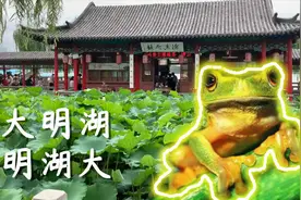 大明湖，明湖大，大明湖里有荷花，荷花上面有蛤蟆，一戳一蹦跶视频封面