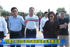 内蒙古自治区政协调研组来岳考察交流视频封面
