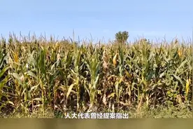 交过公粮的农民，退休后每月发放400元生活补贴？这是不是真的视频封面