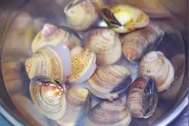 怎么烧出又浓又白的沙白汤？掌握这2个关键技巧，做得比饭店还鲜