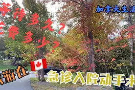 旅游在加拿大急诊入院动手术，亲历加拿大医疗，等待多久花费多少视频封面