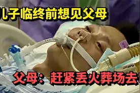 儿子临终想见父母，父母直言：赶紧丢火葬场去！纪录片视频封面