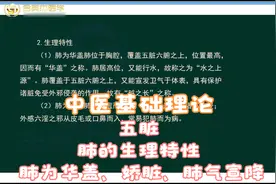 中医基础理论-五脏-肺的生理特性：肺为华盖、娇脏、肺气宣降