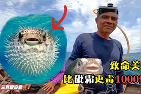 纪录片：探秘印度洋上捕鱼人，最爱的食物比砒霜更毒1000倍，牛人视频封面