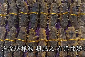 干海参不知道怎样泡发？大厨教你商业版发海参详细过程，太实用了视频封面