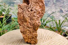项哥在水边捡了一块石头，朋友说是“玉化吸水石”，非常漂亮视频封面