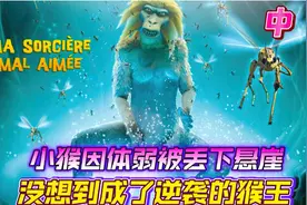 小猴因体弱被丢下悬崖，没想到成为逆袭的猴王。《疯狂进化人》视频封面