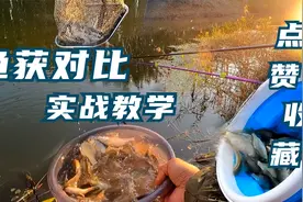 都说天冷了不好钓了，看完视频你就知道秋季想要爆护的关键点视频封面