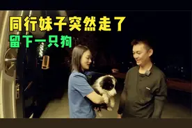 房车旅行同行的妹子突然走了，留下一只狗，让我们兄弟俩不知所措