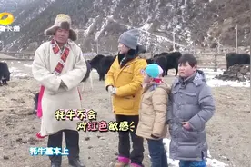 藏民叔叔辟谣牦牛看见红色会发怒，冒险队还要亲自当回斗牛士！