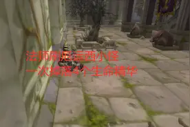 魔兽世界怀旧服法师刷厄运西小怪，一次掉落4个生命精华视频封面