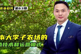未来的精品农业如何打造？看看日本大李子农园的种植和运营模式视频封面