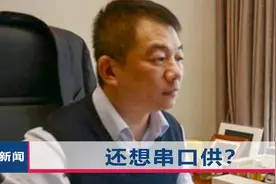 湖南受贿行长获刑10年，开车撞人不赔偿，庭上还拿2岁娃当挡箭牌视频封面