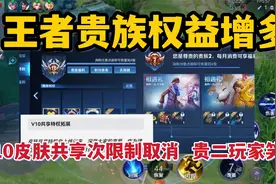 王者贵族权益增多，贵10皮肤共享次数限制取消，贵族二玩家笑了视频封面