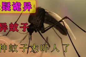 美女一个人去到河边洗澡，被变异蚊子叮了一下，没想到会变成？视频封面