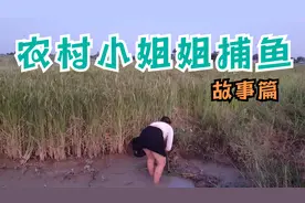 农村小姐姐捕鱼故事！后续更精彩！视频封面