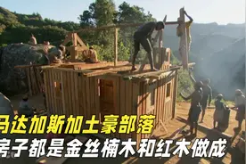 马达加斯加的土豪部落：建造房子全部用珍贵的红木，能住百年视频封面