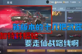 CF手游：新版本上线的十几把武器，加特林蟒蛇要走“仙战”路线啊视频封面