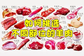 你真的懂羊肉么？一条视频让你成为懂羊人！不同部位的羊肉有哪些