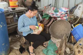 喂奶给小狗狗吃太调皮了视频封面