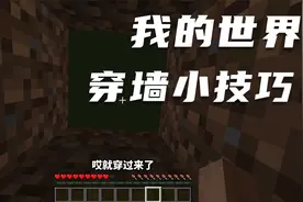 我的世界：穿墙小技巧