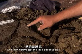 英文版恐龙：6000万年前的恐龙重见天日，科学家直呼像感恩节火鸡视频封面