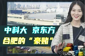 引入中科大、京东方是一场“豪赌”，但合肥走对了第一步视频封面