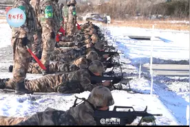 新兵实弹射击5发50环视频封面