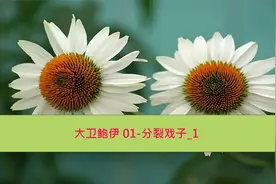 【纪录片】大卫鲍伊01-分裂戏子_1【480】【转载】视频封面