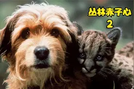 你敢相信吗，一条狗居然有是四子狮子的妈妈。视频封面