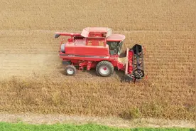 凯斯1996年老款2144轴流式联合收割机，农场主保养的很好视频封面