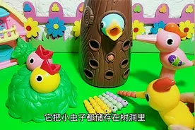 鸟妈妈喂小鸟吃虫，每个喂两条虫，哪个小鸟多吃了？视频封面