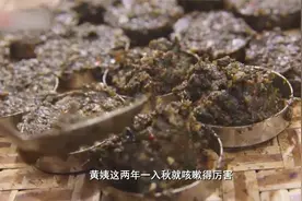 老广：顺德辣椒饼，配料复杂纯手工制作，任何佳肴加上更加鲜美视频封面