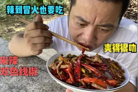 吃辣我就服湖南人，小米椒配线椒双椒盖饭，辣到冒火也要吃过瘾视频封面