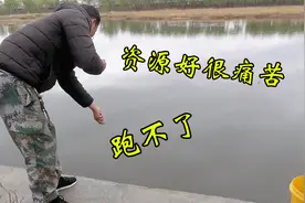 钓鱼资源好也是一种错，这酸爽你们不懂，钓得过瘾又寂寞视频封面