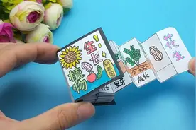 一起来做植物生长科普迷你书，每一页画面都不同，猜猜有哪些东西视频封面