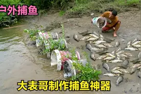户外捕鱼：大表哥用几个桶制作捕鱼神器，捕到好多鲤鱼，太牛了视频封面