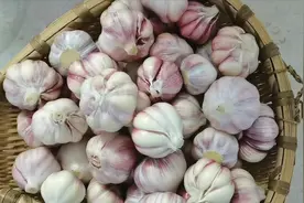 5斤大蒜，倒5斤白醋，这样腌出的糖蒜，酸甜脆爽，没有一点辛辣味视频封面