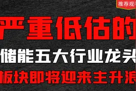 严重低估的储能五大行业龙头，板块即将迎来主升浪，建议收藏研究视频封面