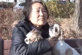 孤寡老人家中突然失火！狗狗冲入火场救主人，事迹感动无数人!视频封面