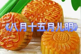 八月十五云遮月，正月十五雪打灯视频封面