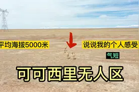 可可西里无人区，海拔5000米，一路看雪山青藏铁路藏羚羊，太美了视频封面
