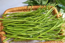 想要空心菜长得多，喂这种肥最快，油绿又清脆，多到摘不完视频封面