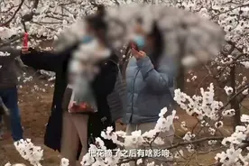洛阳3千亩杏花开放，游客扎堆攀爬摘花，村民心疼：结不了果了视频封面