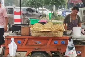 第15集 骑行河南山西 新蔡县一平舆县一汝南县一上蔡县视频封面